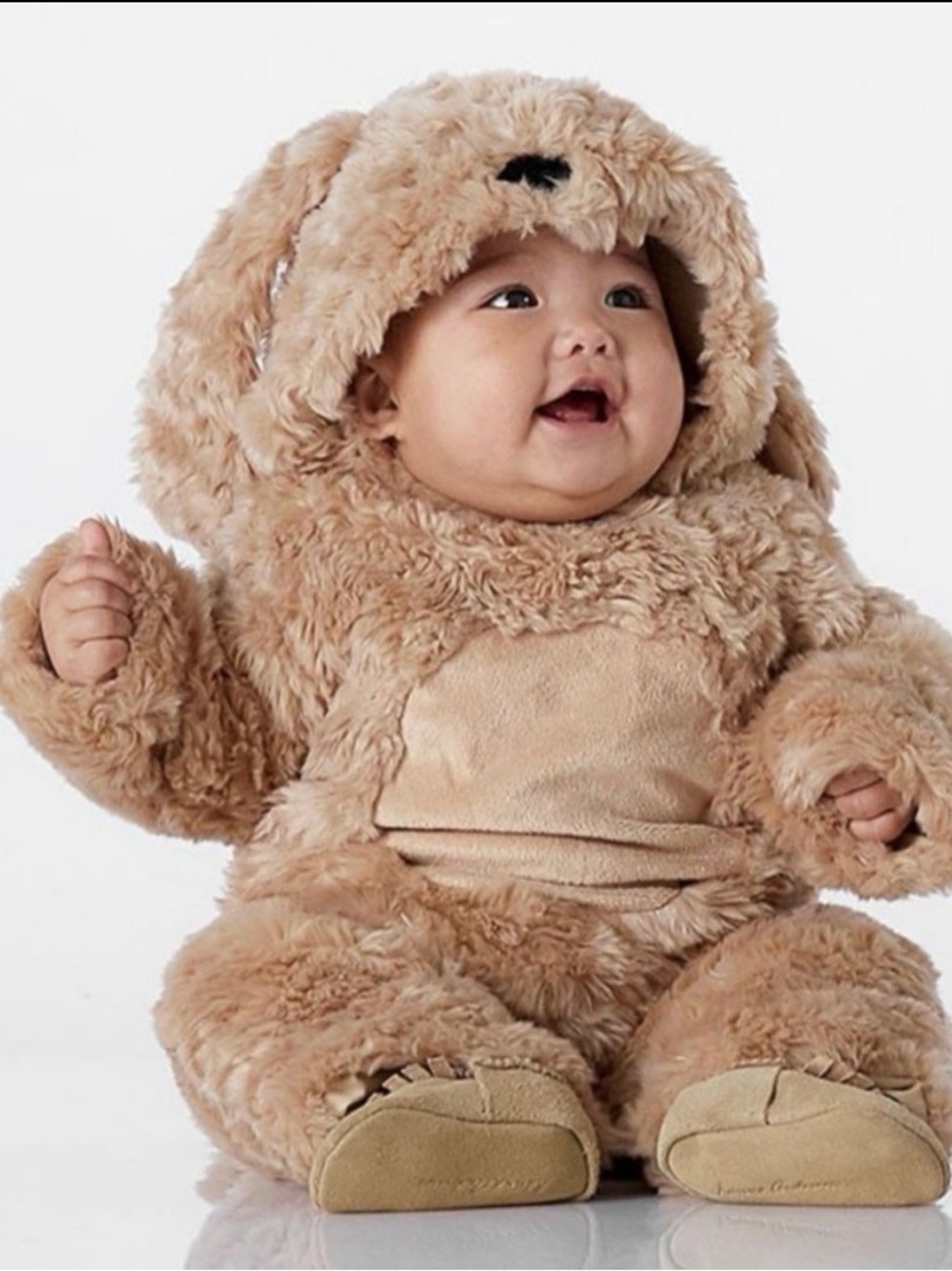 Pottery Barn Labradoodle Costume